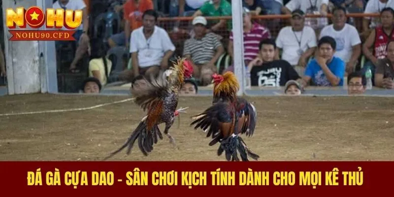 Đá Gà Cựa Dao - Sân Chơi Kịch Tính Dành Cho Mọi Kê Thủ 