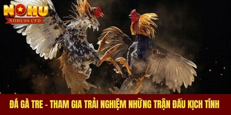 Đá Gà Tre - Tham Gia Trải Nghiệm Những Trận Đấu Kịch Tính
