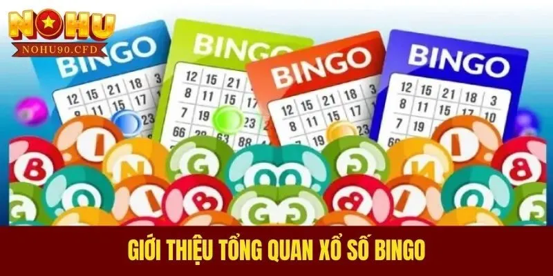 Giới thiệu tổng quan xổ số Bingo