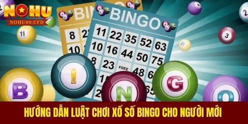 Hướng dẫn luật chơi xổ số Bingo cho người mới