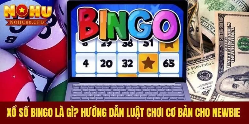 Xổ Số Bingo Là Gì? Hướng Dẫn Luật Chơi Cơ Bản Cho Newbie